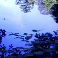 お灸堂　まり鍼灸院