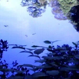 お灸堂　まり鍼灸院