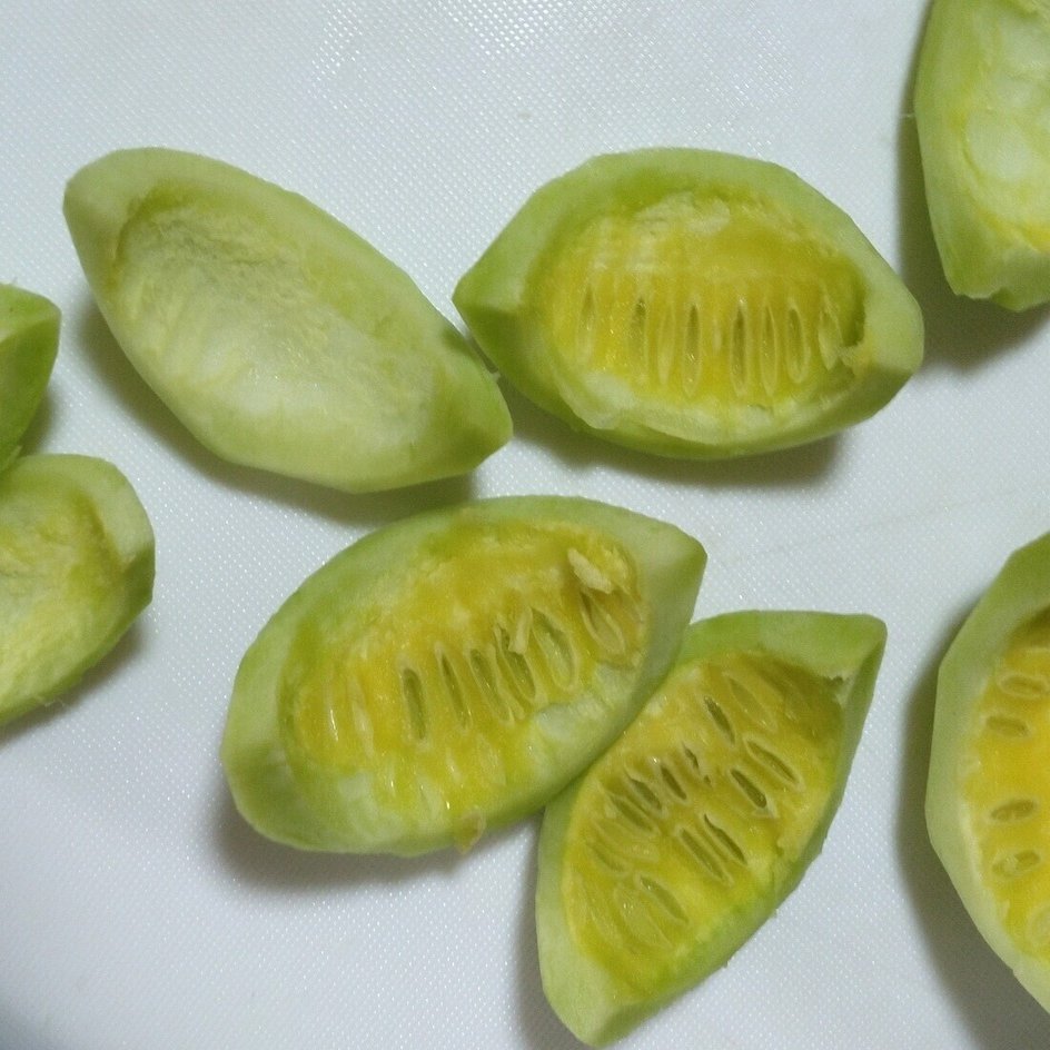 キカラスウリを食べてみよう 水鏡 Note