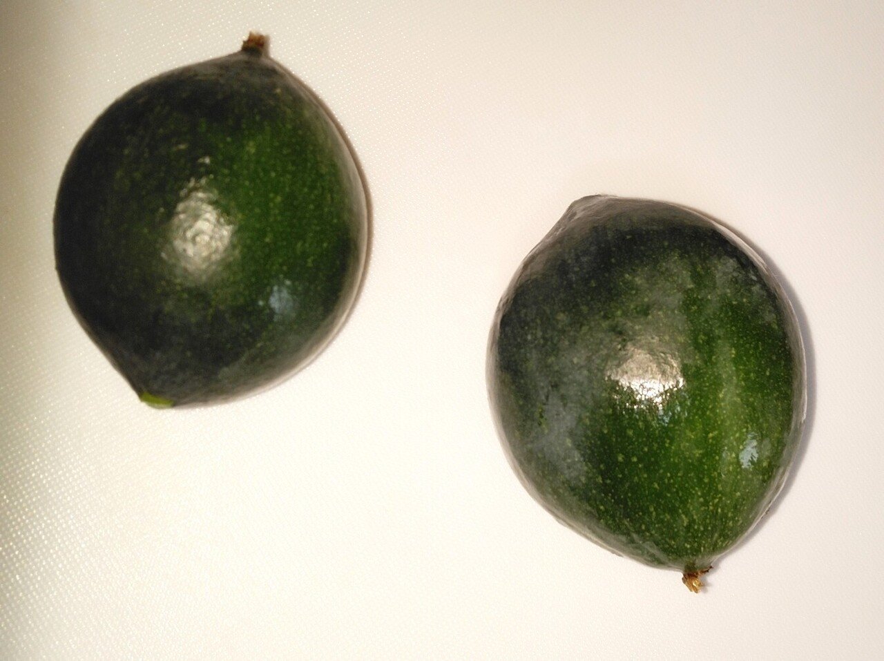 キカラスウリを食べてみよう 水鏡 Note