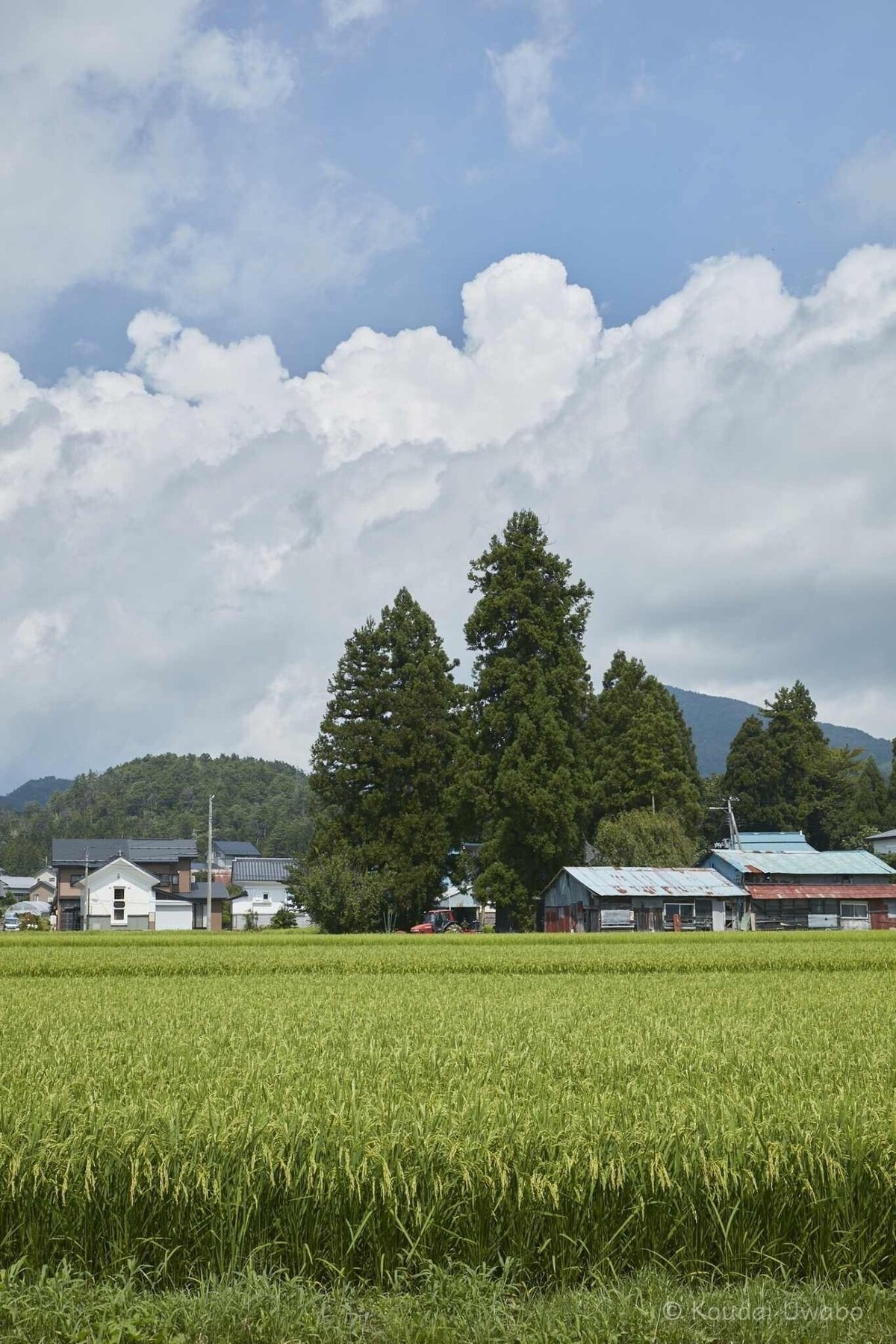 農村 