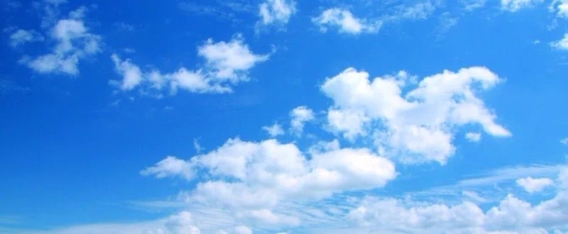 脳は空より広いか を読んで 神埼 Note