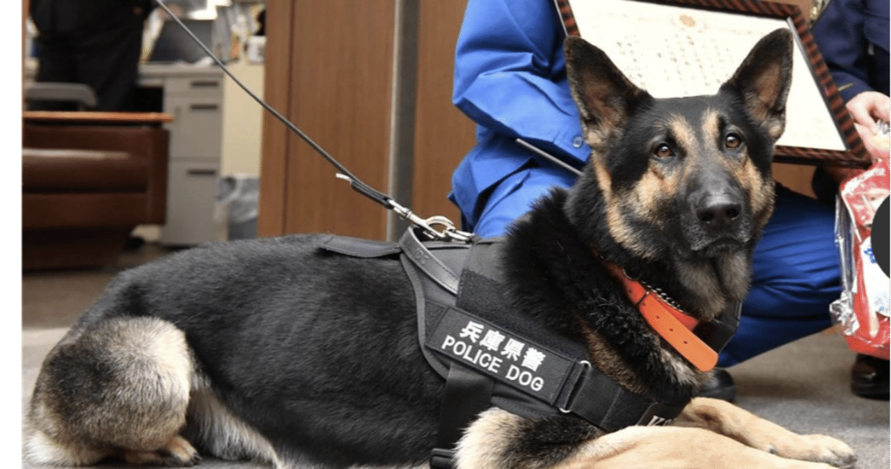 逃走警察犬クレバ号が早速のお手柄 Cofui Note 逃走警察犬クレバ号が早速のお手柄 Cofui Note