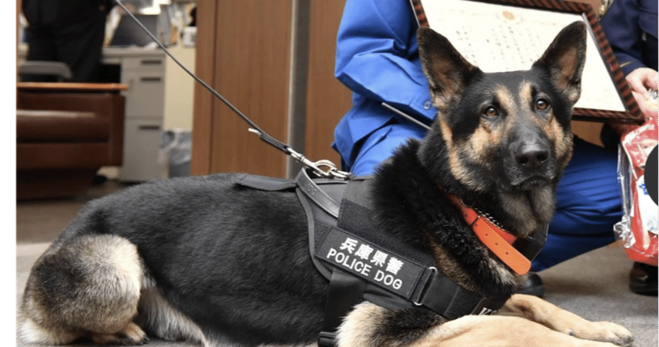 逃走警察犬クレバ号が早速のお手柄 Cofui Note