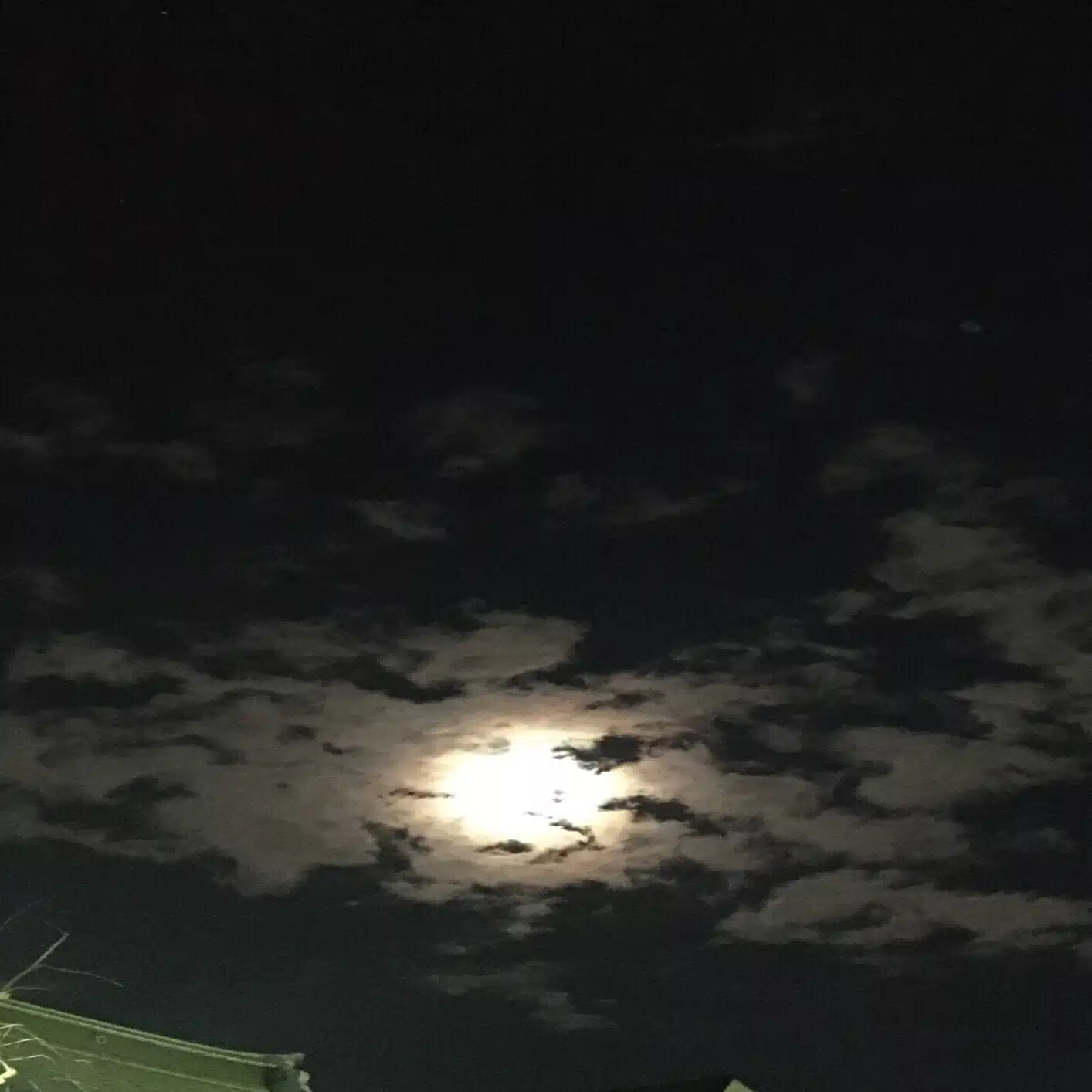 ハリー