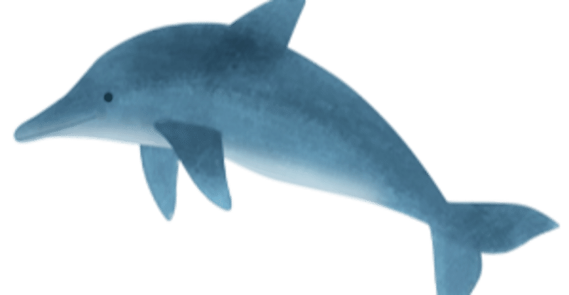 可愛いイルカ Png