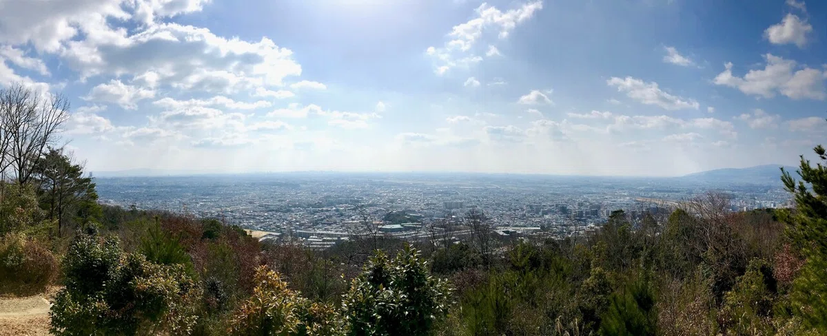 画像9
