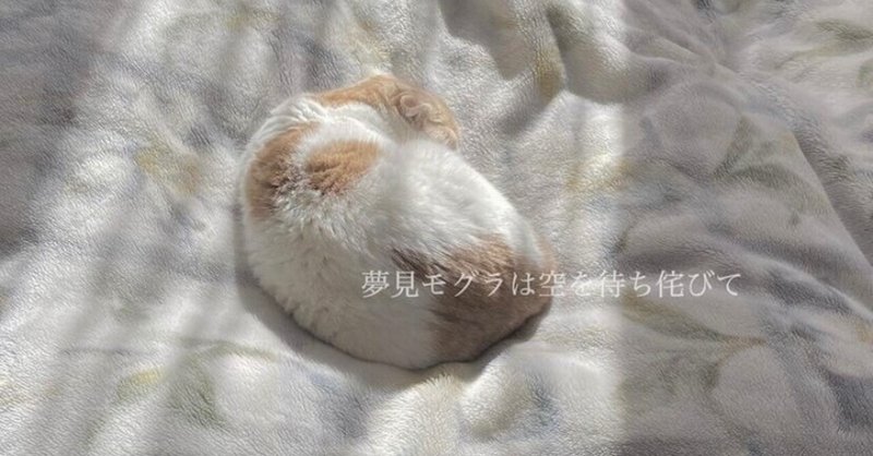 夢見モグラは空を待ち侘びて 37日目 Masatokanai Note 夢見モグラは空を待ち侘びて 37日目 Masatokanai Note