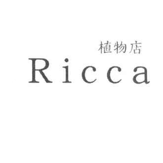Riccaの商品一覧｜note