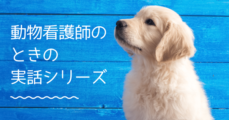 ペットロスの飼い主に寄り添う Gina Note