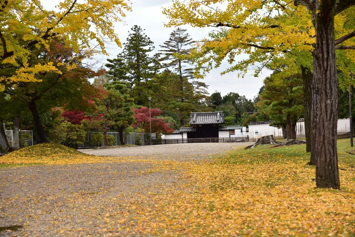 画像74
