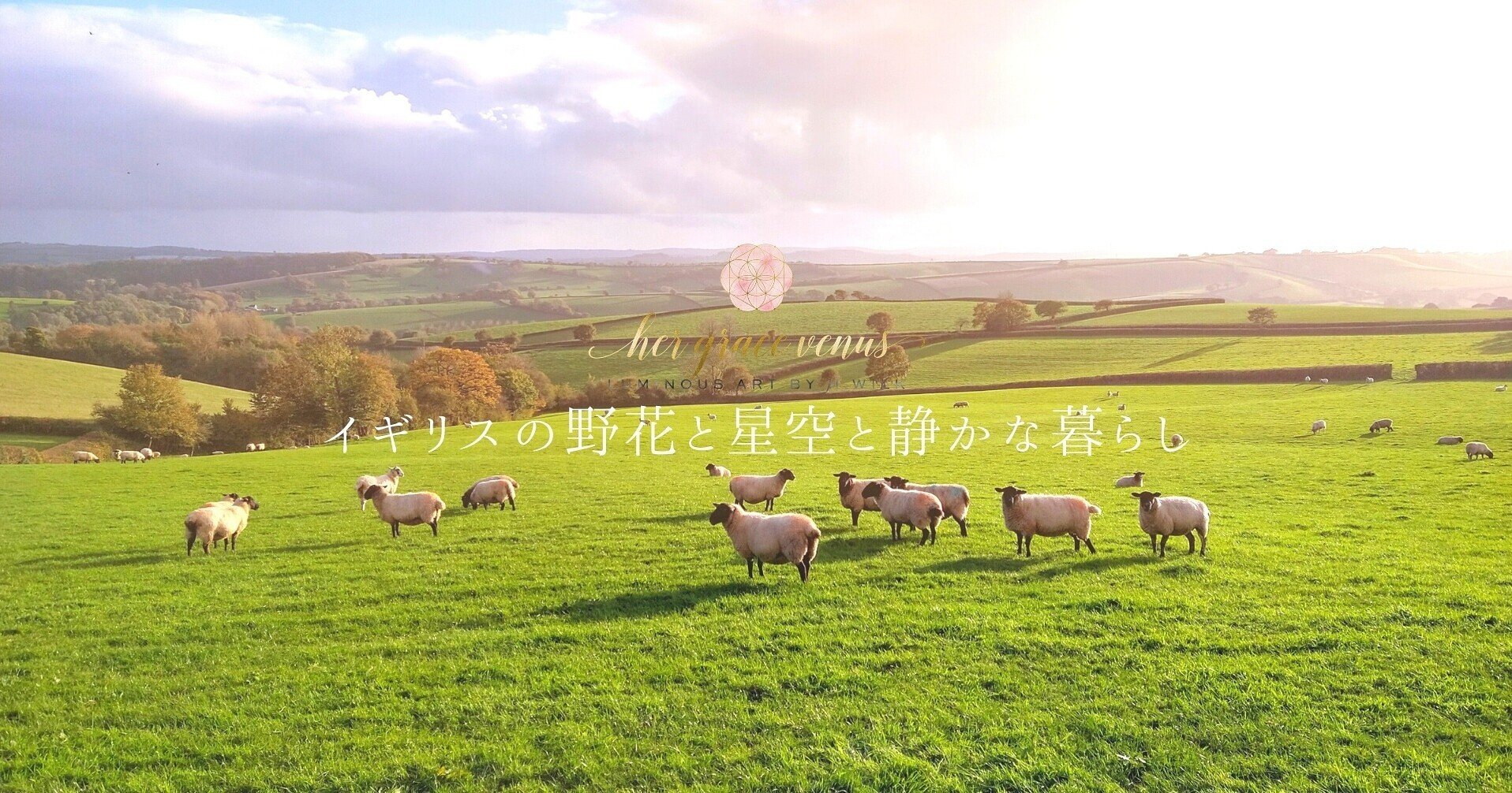 イギリス田舎 小さな村での暮らし H I R O M I W O L F I E Note イギリス田舎 小さな村での暮らし H I R O M I W O L F I E Note