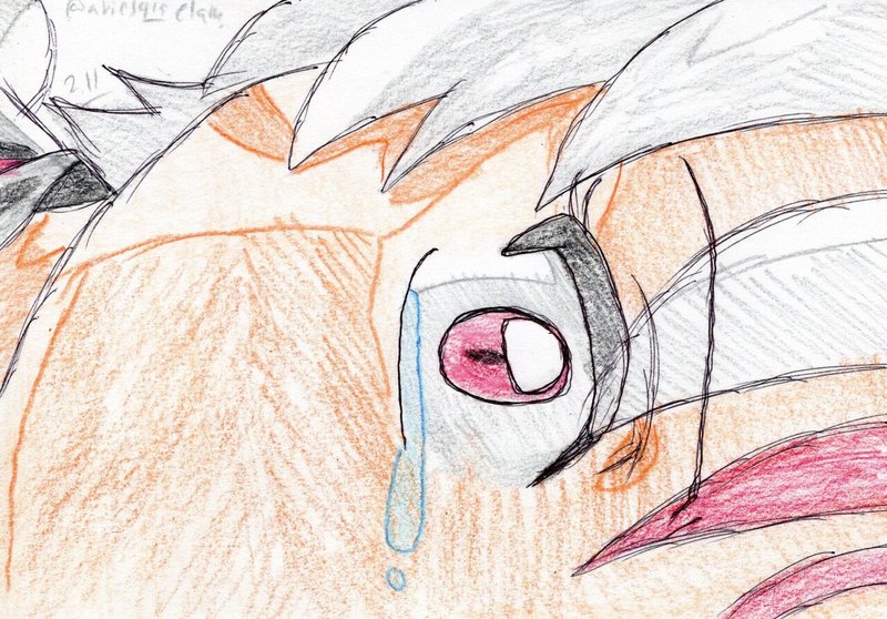 大切な人を守れなくて ただ泣いたあの日 雪風 Note