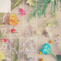 すぐそばにある花でもできる 押し花 の作り方 Greenpiece Note