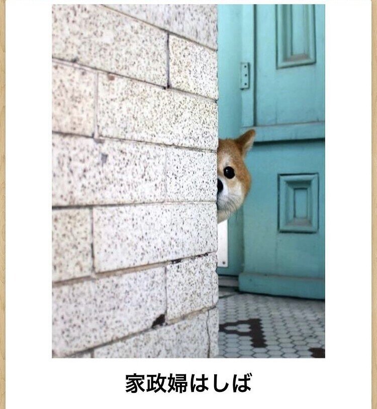 予想 奈良 競輪