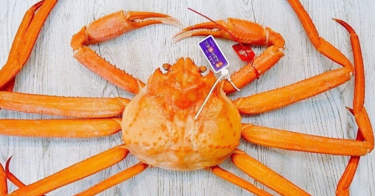 くるり 琥珀色の街 上海蟹の朝 獣医学生たわし 今日の1曲 Note