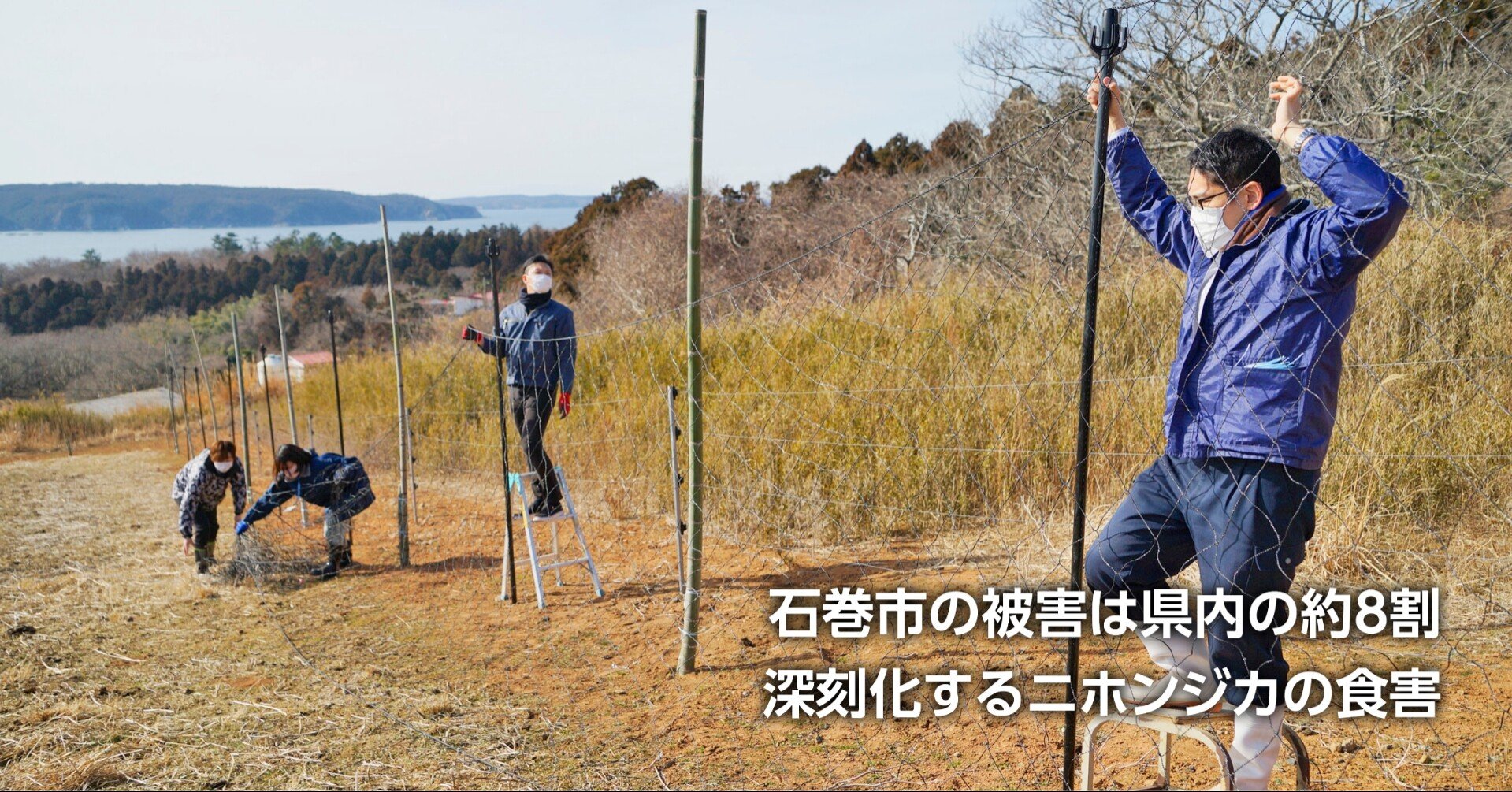 増えすぎるシカの問題に新たな手法で挑む シカと人の未来のための日本初の新プロジェクト コラム 緑のgoo