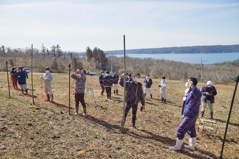 石巻 農作物被害が深刻化 囲いわな でシカ集団捕獲 鮎川浜の農地で実証実験 石巻days 未来都市の生き方 Note