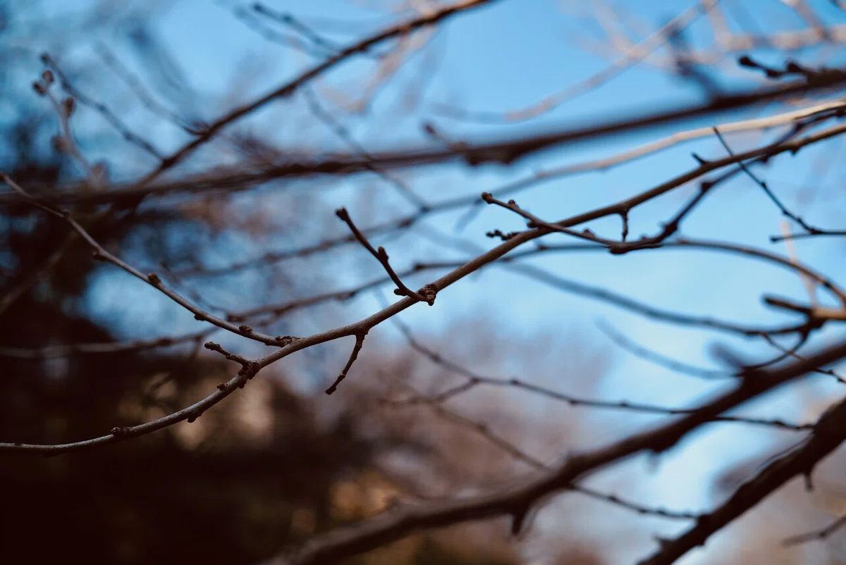 画像21