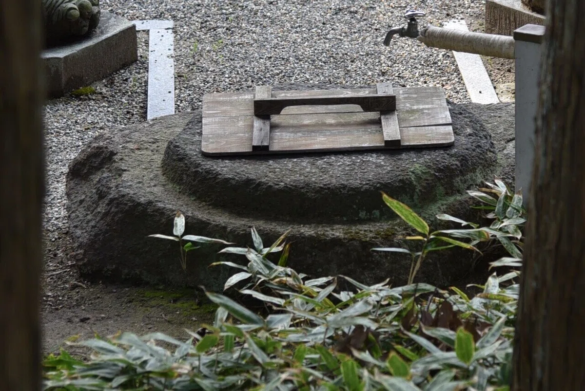 画像11