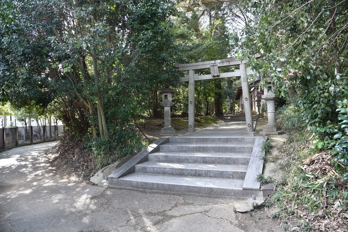 画像14