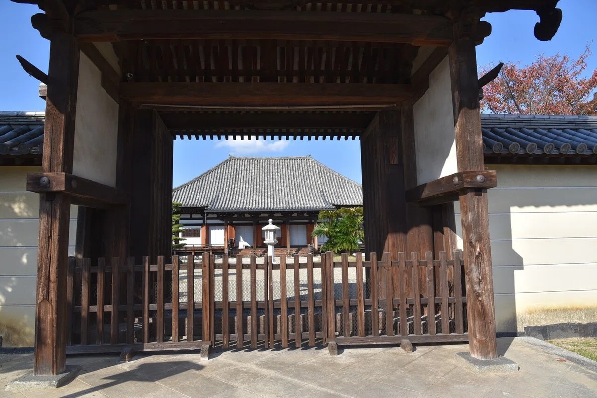 画像15