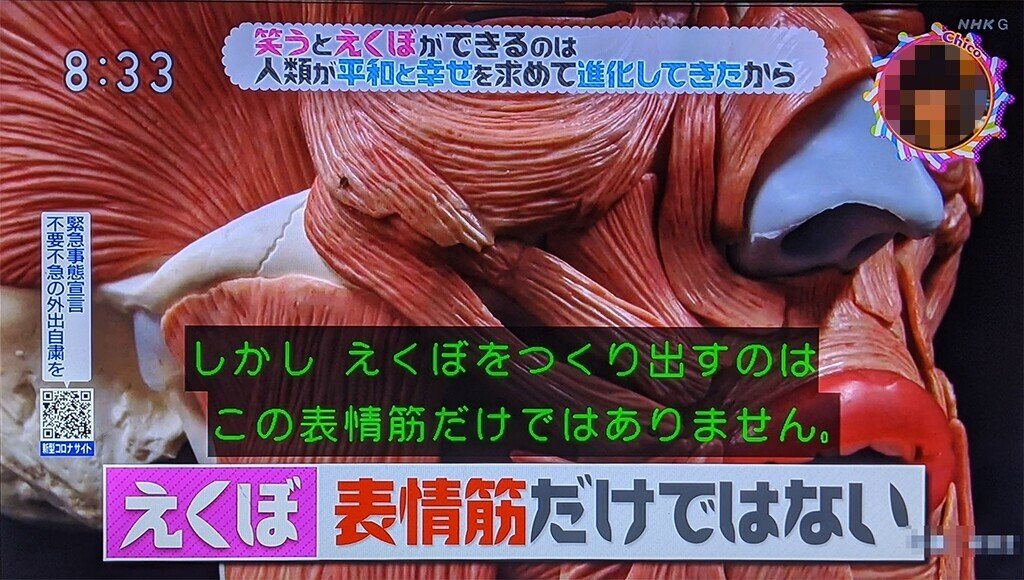 スマイルコンサルタントとして Nhk チコちゃんに叱られる をよく観ています 今回の放送ではえくぼについて知ることが出来ました 人類が平和と幸せを求めて進化してきた から 笑うとえくぼができるのだそ スマイルコンサルタント 奥山真詩 Note