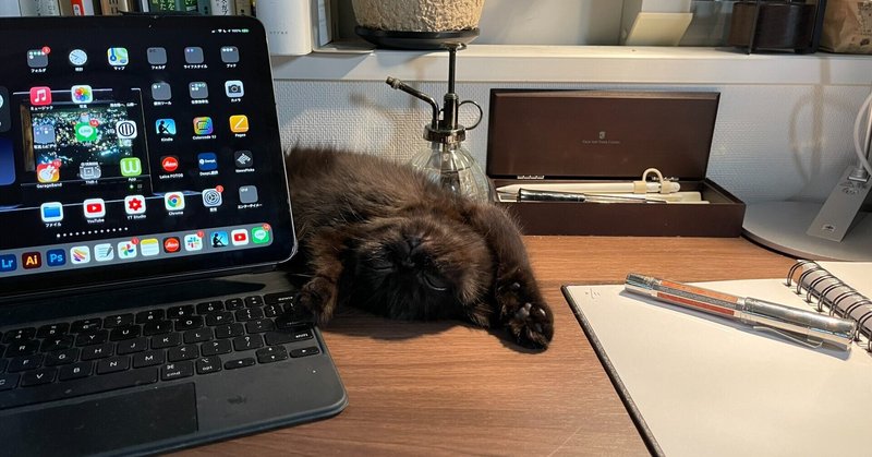 子猫の世話で忙しなくすぎていく日々 日々短文雑記 落合陽一 Note 子猫の世話で忙しなくすぎていく日々 日々短文雑記 落合陽一 Note