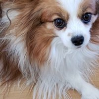 東北大学で受けられる恩恵について Nemoto Kazuki Note 東北大学で受けられる恩恵について Nemoto Kazuki Note