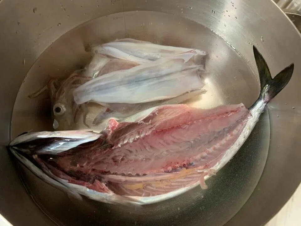 画像14