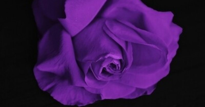 紫の薔薇の人 りりかる Lyrical Spirit Note 紫の薔薇の人 りりかる Lyrical Spirit Note