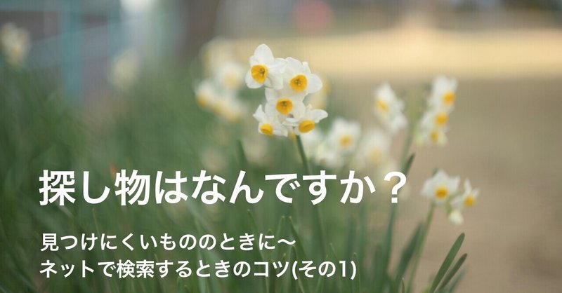 探し物はなんですか？見つけにくいもののときは 〜 ネットで検索するときのコツ（その1）