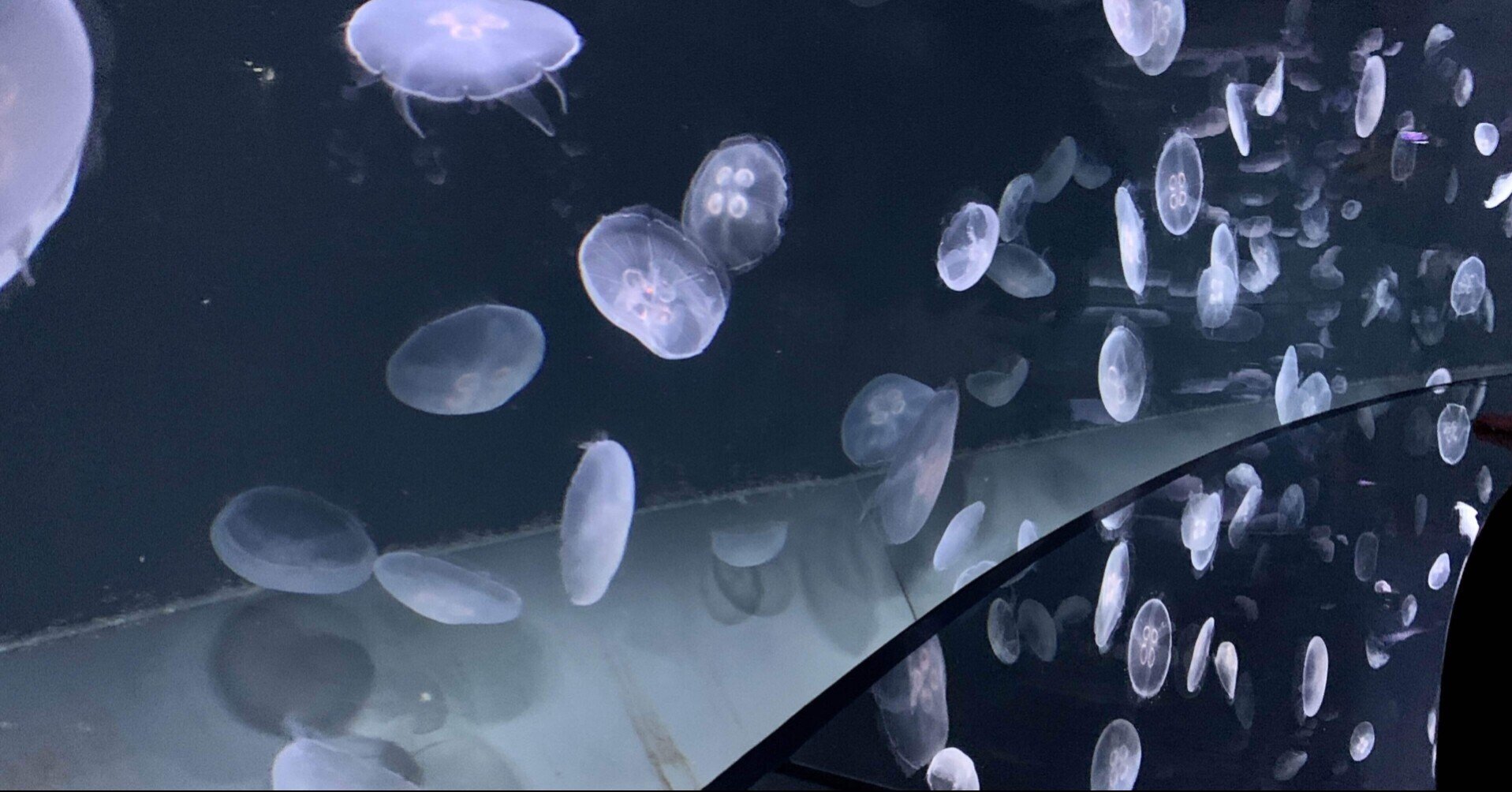 インターネットと エジソンノート やひろ Note