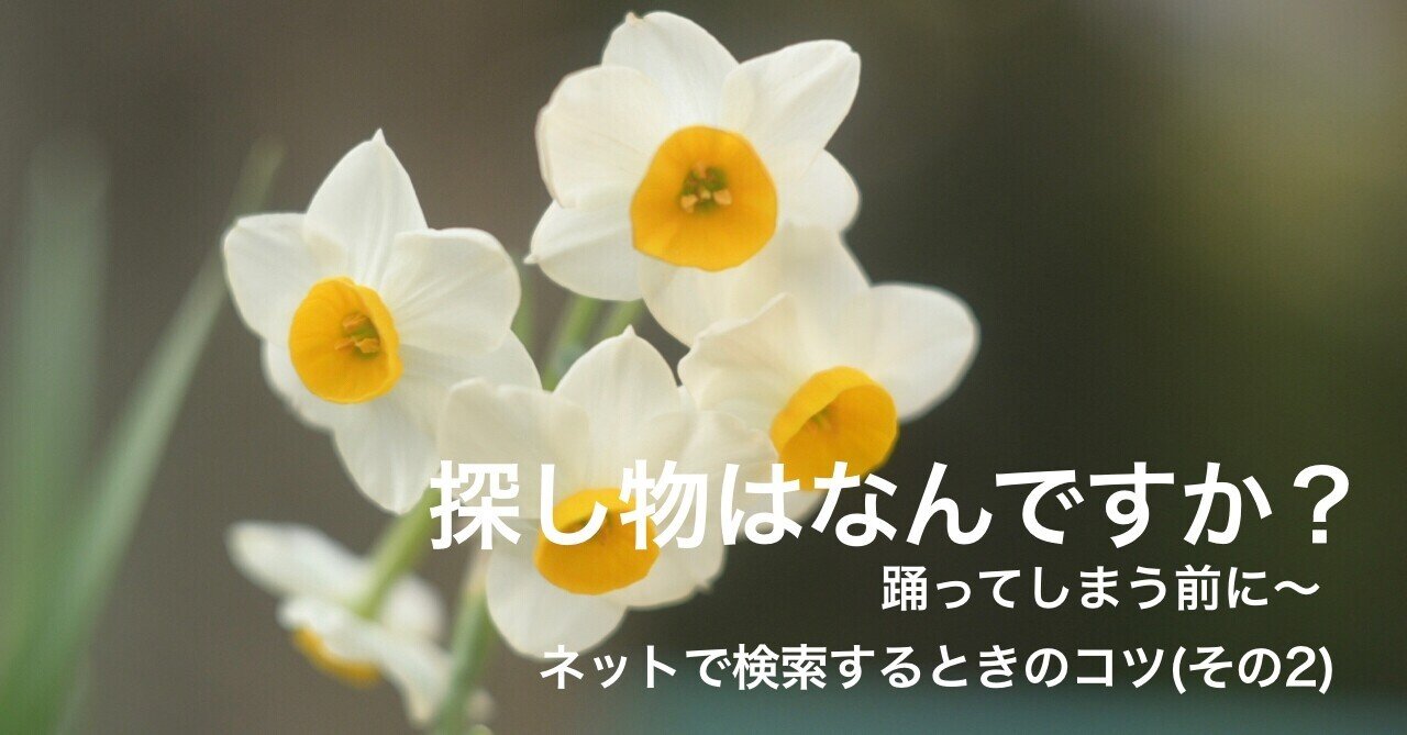 探し物はなんですか 踊ってしまう前に ネットで検索するときのコツ その2 情報リテラシーくん Note