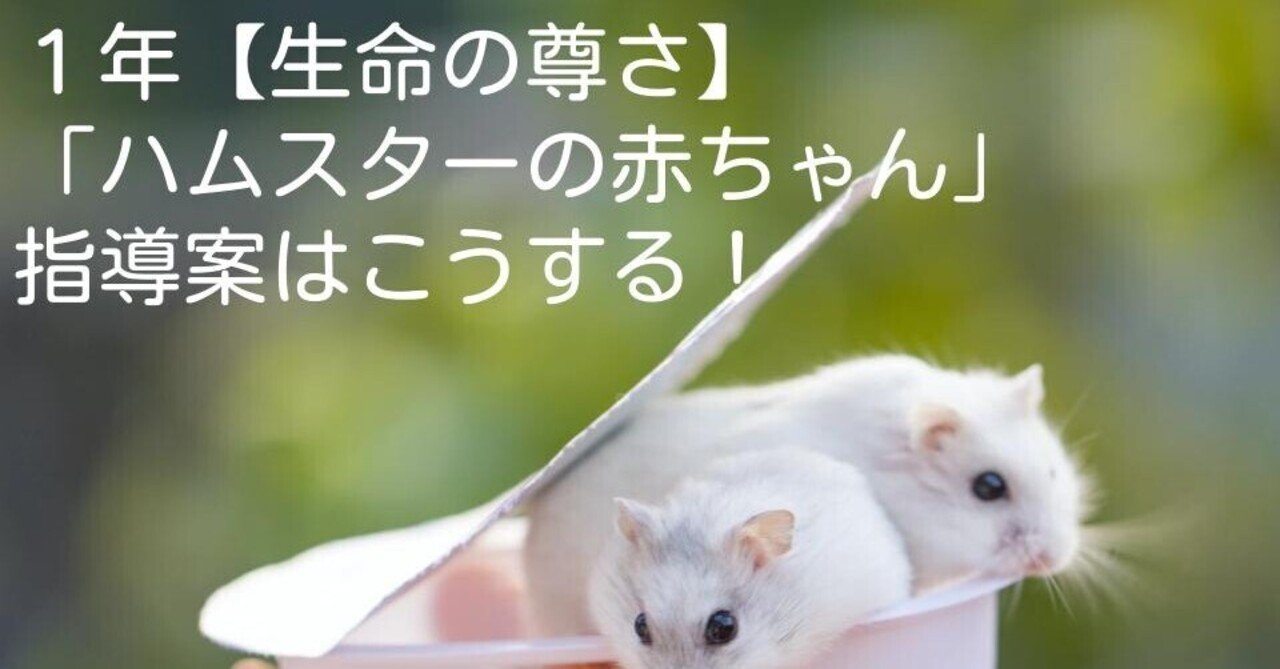 １年 ハムスターの赤ちゃん 生命の尊さ の指導案はこうする キッシュ 良質教育情報発信 Note
