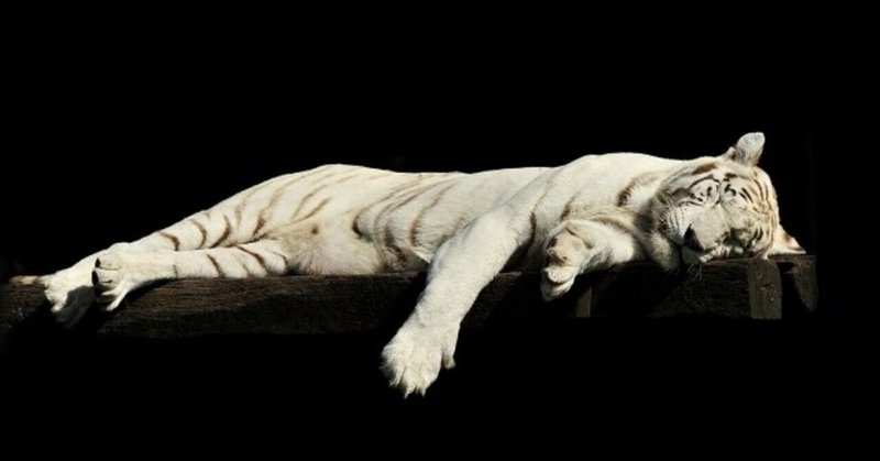 人喰い の新着タグ記事一覧 note つくる つながる とどける