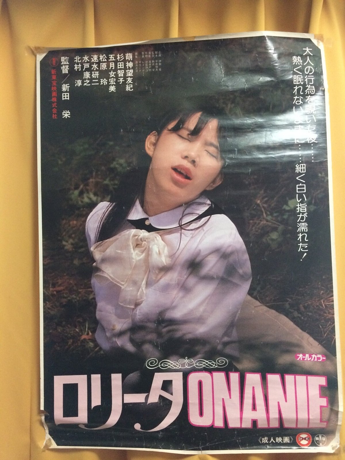 日活ロマンポルノ出演女優 