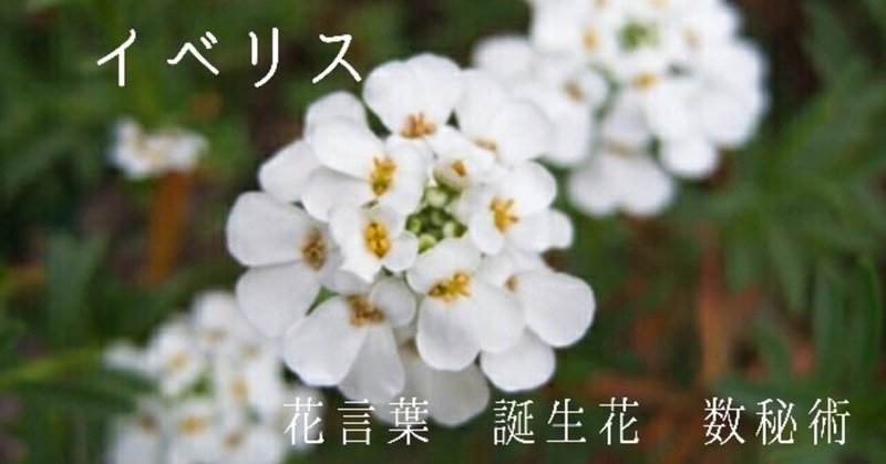 イベリス Note