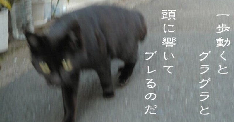 家族は 友人はどうすれば 西原理恵子 月乃光司の おサケについてのまじめな話 Shimogamo Note 家族は 友人はどうすれば 西原理恵子 月乃光司の おサケについてのまじめな話 Shimogamo Note