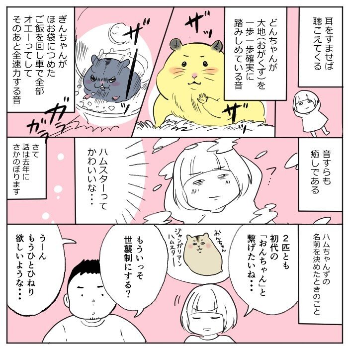 ハムスターに名前を付けたときの話 百田ちなこ Note ハムスターに名前を付けたときの話 百田ちなこ Note