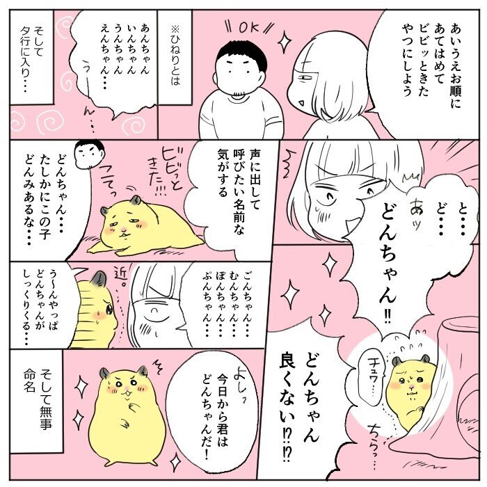 ハムスターに名前を付けたときの話 百田ちなこ Note ハムスターに名前を付けたときの話 百田ちなこ Note