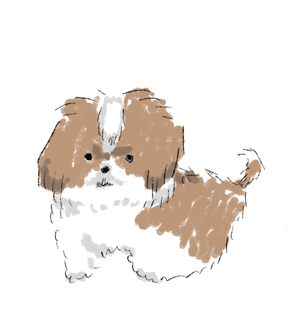 犬の絵の練習 わたくし Note 犬の絵の練習 わたくし Note