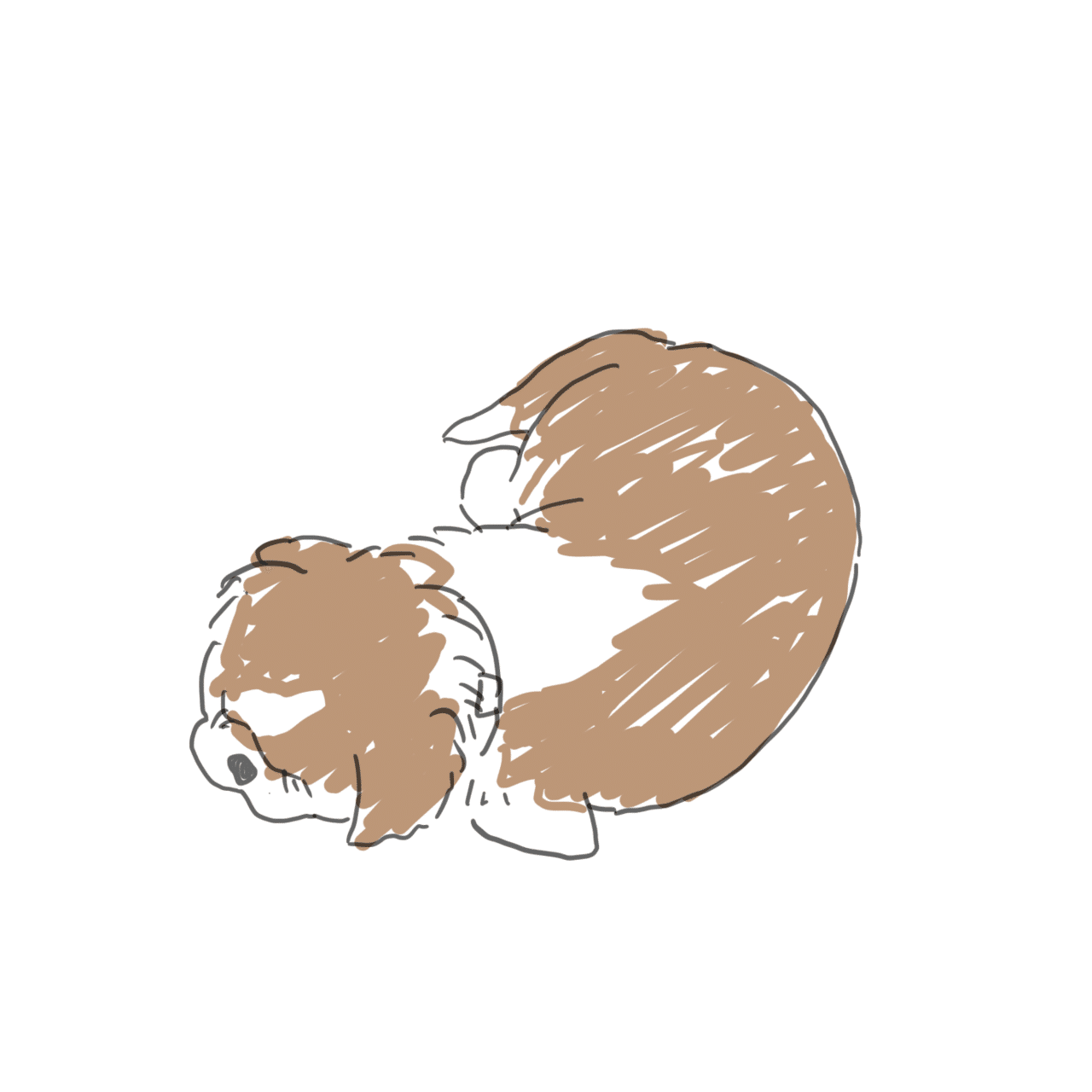 犬の絵の練習 わたくし Note