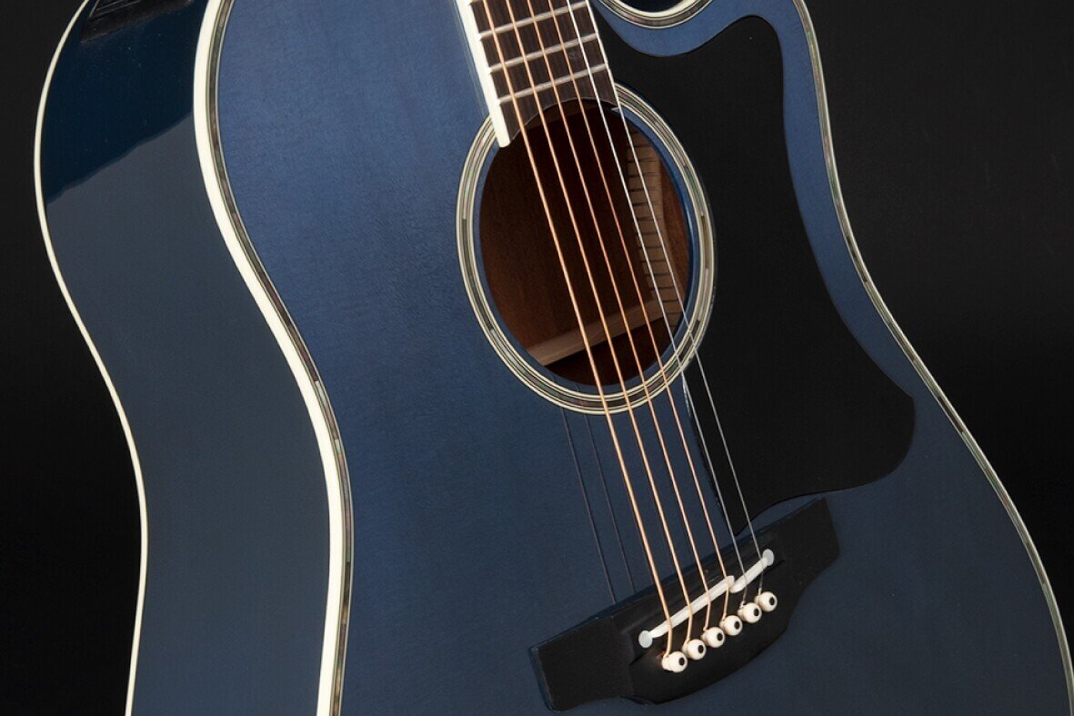 TakamineギターのLTDモデル、カスタムモデルの足跡を辿る（前編