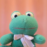世界平和を夢見るカエル/Frog dreaming of world peace