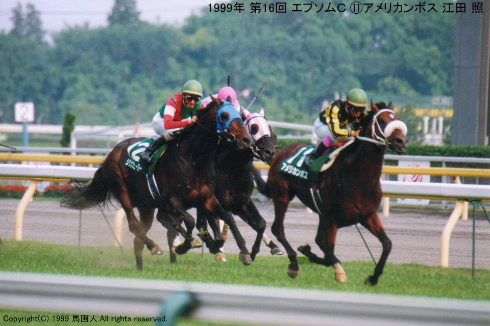 エプソムｃ 蔵出し写真３ 1999年 アメリカンボス 馬画人 まがじん Note