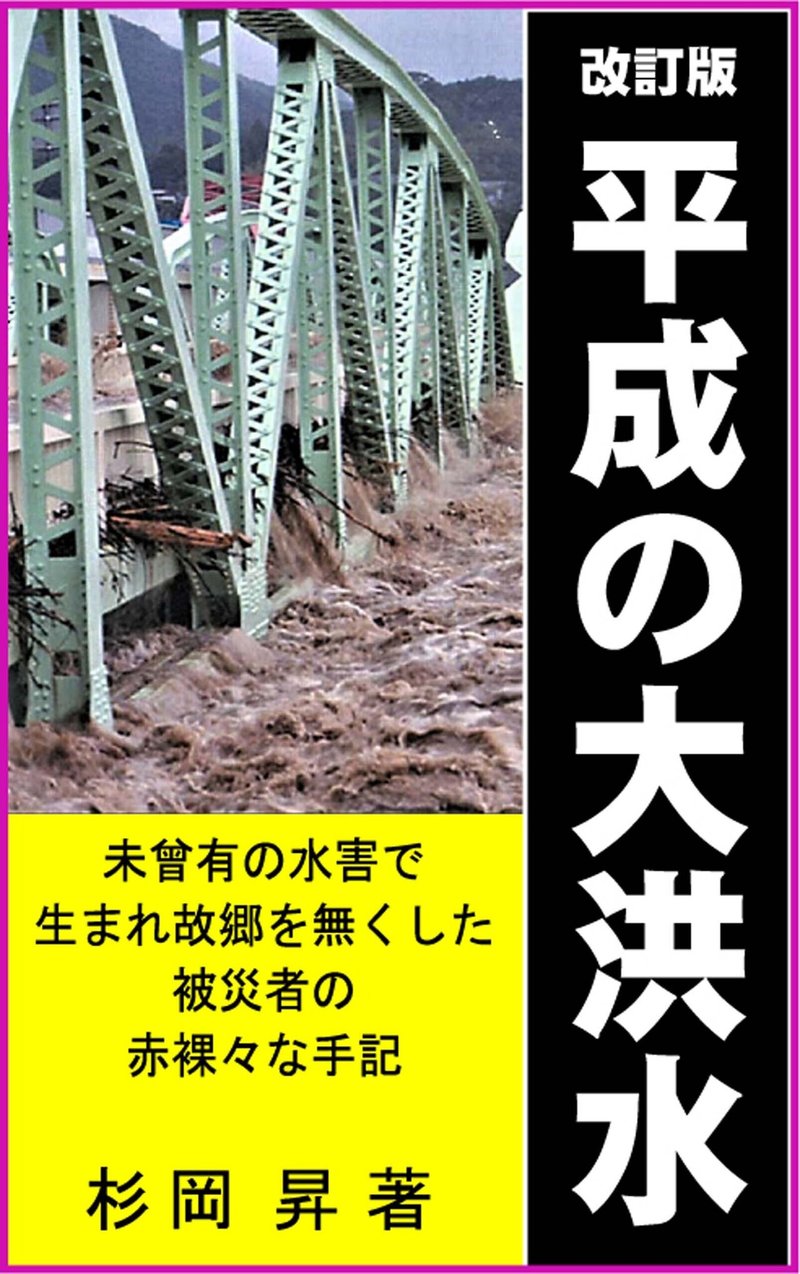 平成の大洪水表紙キンドル