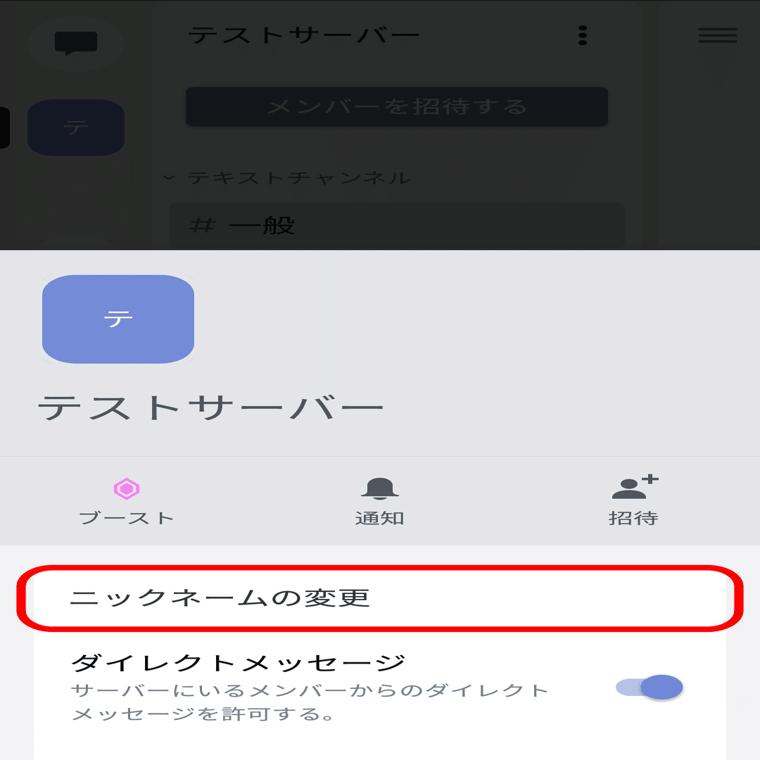 はじめてのdiscord 表示の設定編 Nhbp Note