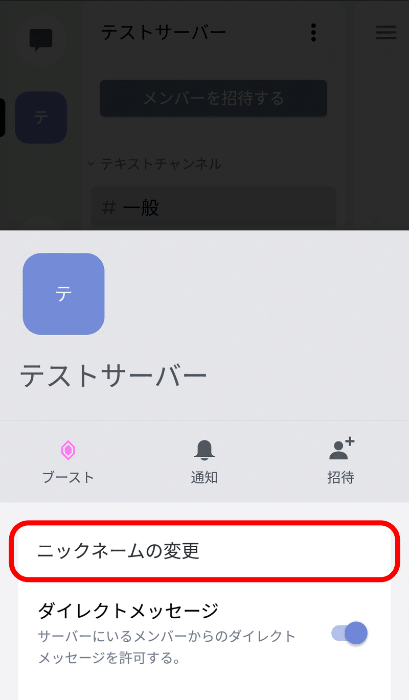 はじめてのdiscord 表示の設定編 Nhbp Note