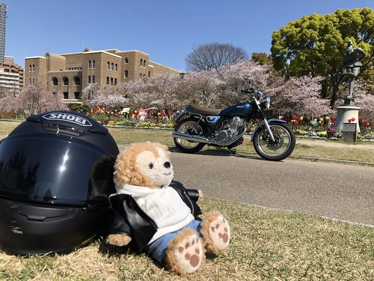 画像1